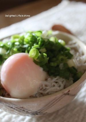 あっという間の賄い丼☆しらす丼-レシピのメイン写真