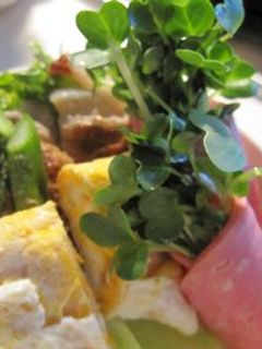 お弁当に花束?!?-レシピのメイン写真
