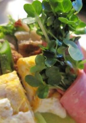お弁当に花束？！？-レシピのメイン写真