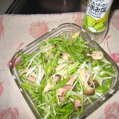 水菜のサラダ-レシピのメイン写真