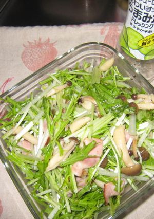 水菜のサラダ-レシピのメイン写真
