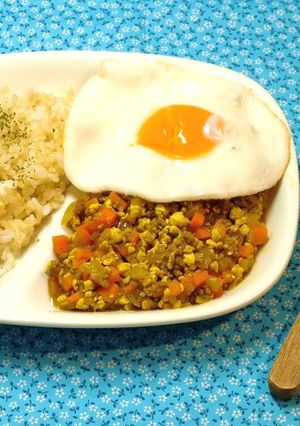 豆腐を使ってヘルシーに♪ドライカレー-レシピのメイン写真