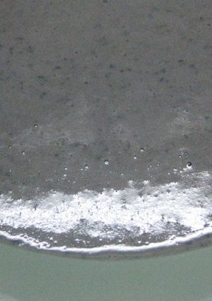 黒豆のポタージュ-レシピのメイン写真
