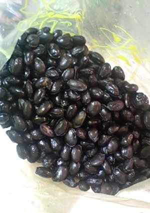 驚き！簡単すぎる★黒豆★[炊飯器使用]-レシピのメイン写真