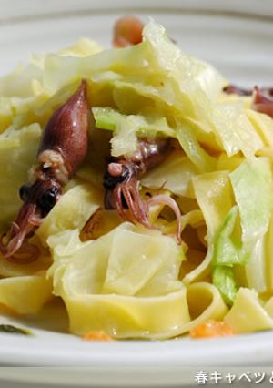 春キャベツとほたるいかのパスタ-レシピのメイン写真