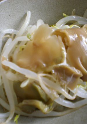 もやしとザアサイの簡単和え物-レシピのメイン写真