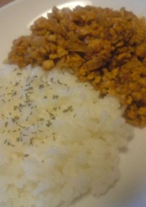 凍ったお豆腐のヘルシードライカレー☆-レシピのメイン写真
