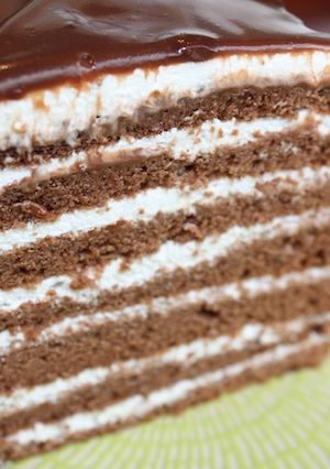 チョコレートファッジケーキ＊７レイヤー＊-レシピのメイン写真