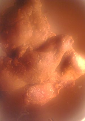 ラム肉のタコスの粉炒め-レシピのメイン写真