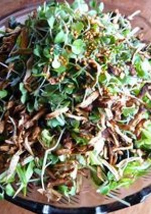 水菜が主役のサラダ-レシピのメイン写真