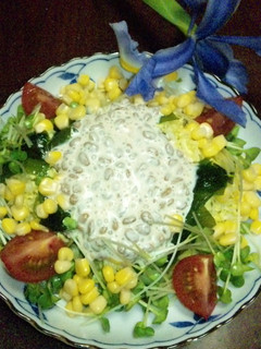 大好き♪納豆サラダ☆-レシピのメイン写真
