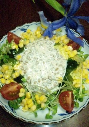 大好き♪納豆サラダ☆-レシピのメイン写真
