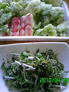 タラの芽の胡麻和え-レシピのメイン写真