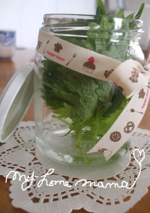 大葉の保存法☆-レシピのメイン写真