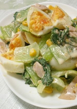 青梗菜のサラダ-レシピのメイン写真