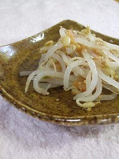 もやしの梅肉和え-レシピのメイン写真
