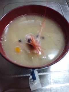 エビを刺身にして残った頭のお味噌汁-レシピのメイン写真