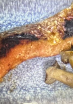 鮭の酒粕•味噌漬け-レシピのメイン写真