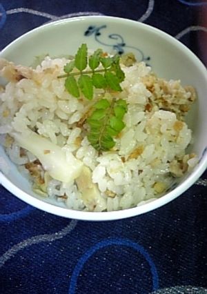 筍いっぱいご飯-レシピのメイン写真