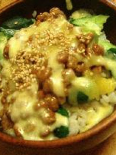 納豆きゅうりチーズ丼-レシピのメイン写真
