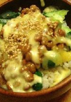 納豆きゅうりチーズ丼-レシピのメイン写真