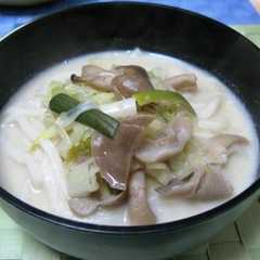 洋風豆乳きのこうどん-レシピのメイン写真
