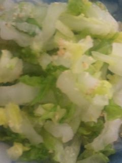 シャキシャキ白菜の漬物-レシピのメイン写真