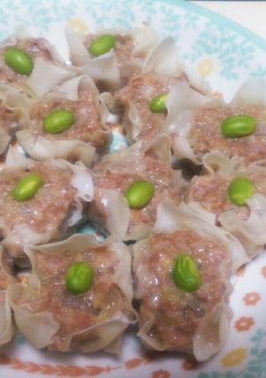豚ひき肉と玉ねぎの絶品シュウマイ-レシピのメイン写真