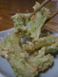 あおさの3色かき揚げ-レシピのメイン写真
