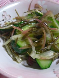 さっぱり夏向き!胡瓜と茗荷のコンビ-レシピのメイン写真