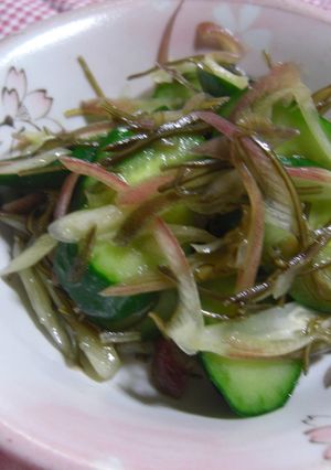 さっぱり夏向き！胡瓜と茗荷のコンビ-レシピのメイン写真