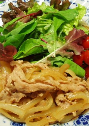 豚肉と玉ねぎのスパイス炒め-レシピのメイン写真