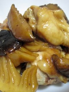 たけのこと手羽元のオイスターソース煮-レシピのメイン写真