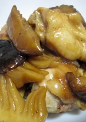 たけのこと手羽元のオイスターソース煮-レシピのメイン写真