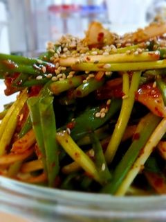 ♪♪細ネギのムチム(和え物)♪♪-レシピのメイン写真