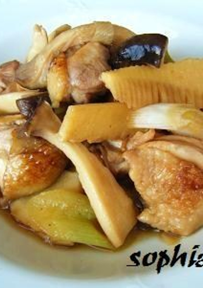 ✿鶏肉とエリンギ・筍の中華煮✿-レシピのメイン写真