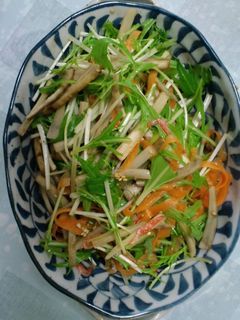 牛蒡のサラダ-レシピのメイン写真