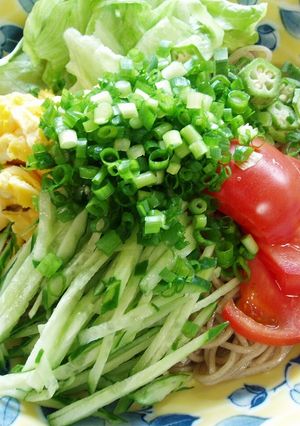ぶっかけこんにゃくそば-レシピのメイン写真