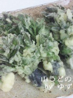 山うどの天ぷら-レシピのメイン写真