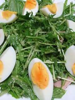 水菜のサラダ-レシピのメイン写真