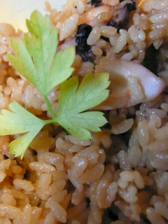★しょうがたっぷりたこ飯★-レシピのメイン写真