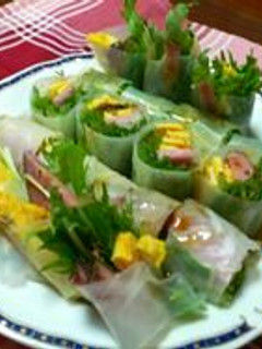 簡単華やか生春巻き。。☆☆-レシピのメイン写真