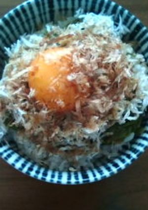 のせるだけ丼〜栄養満点〜-レシピのメイン写真