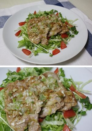今夜は簡単旨い葱塩ダレで！豚肉の葱塩焼き-レシピのメイン写真