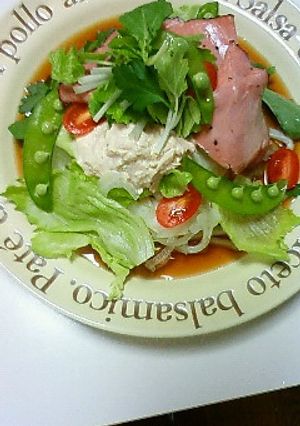 初夏にぴったりさっぱりサラダうどん-レシピのメイン写真