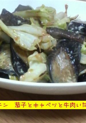 茄子とキャベツと牛肉炒めてみた★-レシピのメイン写真