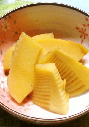 タケノコの普通の煮物-レシピのメイン写真