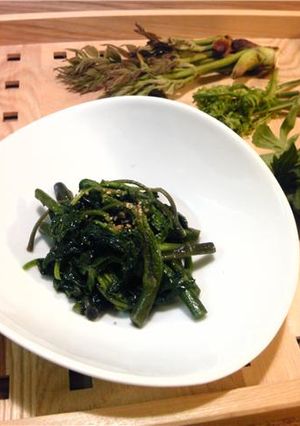これなら食べられる♪しどけのナムル-レシピのメイン写真