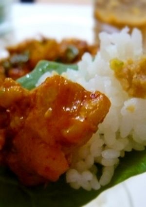 鶏肉のコチュジャンポッカ、ほうれん草包み-レシピのメイン写真