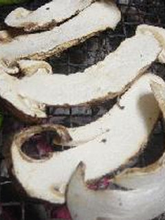 松茸の炭火焼き-レシピのメイン写真